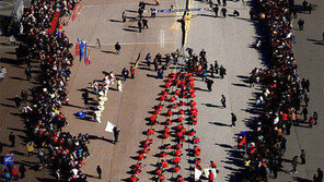 AI에 구제역까지… 지자체 대보름 행사 취소-축소