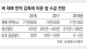 “남아도는 쌀, 해외원조-생산감축으로 해결”