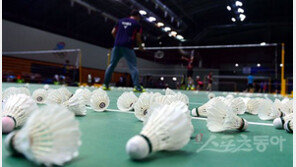 셔틀콕 태극기를 향한 글로벌 브랜드의 각축전