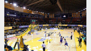 WKBL 3위 전쟁 “너를 잡아야 내가 산다”