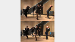 꽃잎 떼는 트로트여신…‘홍진영홀릭’ 시작된다