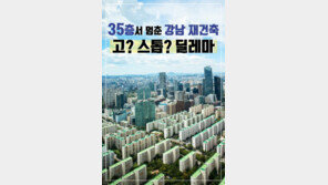 [카드뉴스] ‘35층서 멈춘’ 강남 재건축, 고? 스톱? 딜레마