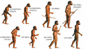 [책의 향기]지구 파괴하는 유일한 種, 인류가 사라진다면…