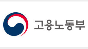 IT·게임기업 근로환경…고용노동부 집중 점검