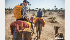 파타고니아 ‘라이트웨이트 블랙홀’ 가볍고 튼튼