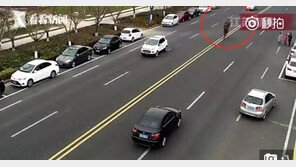 헉! 말(馬)이 뺑소니 사고…차 부수고 그대로 달아나