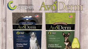 “좋은 것만 주고 싶은 맘 담았죠”