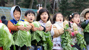 자투리땅-건물 옥상 활용한 도시농업 활기