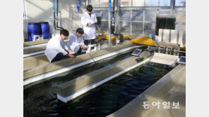 미래식량 ‘스피룰리나’ 대량생산 나선다