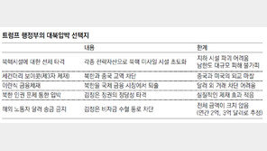 美, 금융제재부터 선제타격까지 모든 수단 들여다본다