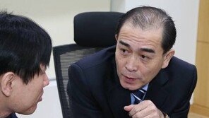 김정남 암살…하태경 “국내에도 암살자 파견 첩보 입수, 태영호 타깃 1순위”