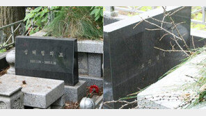 암살 김정남, 母도 이국땅에서…숨진 뒤에도 北으로 못 돌아간 성혜림, 왜?