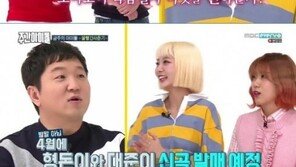 정형돈, 볼빨간사춘기에 콜라보 제안 “곡 제목은 시류 편승해 ‘벚꽃대선’”