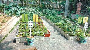 부천시 “도심 유휴공간에 공동텃밭 조성”