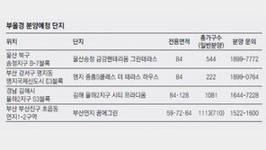 [화제의 분양현장]부산·울산·경남 등 영남권 無규제 분양지 ‘북적’ 