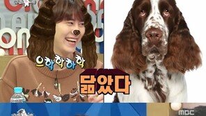 강형욱, ‘라디오스타’ MC들 견종과 비교…김구라는 의심많은 세인트 버나드