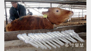 [Magazine D]“朴정부, 구제역 시스템마저도 신뢰할 수 없다”