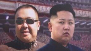 前 조선중앙TV 기자 “北 주민, 김정남 존재 자체 몰라…꽤 오래 살았다”