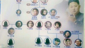 ‘김정남 독살 사건’…채널A, 비극의 김정은 가계도 공개