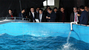 “육지서 참다랑어 키우고, 선박서 바다송어 양식”