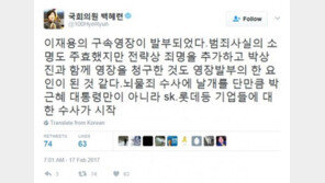 백혜련 “이재용 구속, 박상진과 함께 영장 청구도 요인 된 듯”…박상진 사장은 기각
