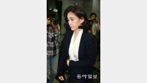 호텔신라 이부진 사장 통큰 행보 눈길… 4억 선행·메르스 조치 재조명