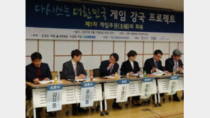 게임 규제만 있고 게임 진흥은 없다.. 전문가들 "놀이와 놀음은 엄격히 구분해야"