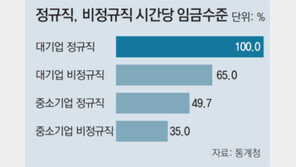 대기업 비정규직 임금, 정규직의 65%