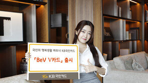 월 1000만원 쓰는 VVIP ‘월천 카드’ 고객 모셔라