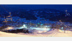 평창 알펜시아리조트 벌써부터 올림픽 특수