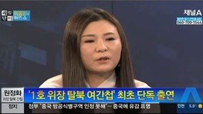北 공작원 출신 원정화 “김정남 살해 대가, 선불로만 한화 11억 정도”