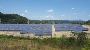 [스마트 컨슈머]증여 가능한 가업, 태양광 발전