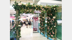 백화점은 꽃바람…홈쇼핑은 봄바람