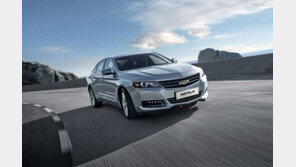 [CAR&TECH]“중형차 비켜” 잘나가는 준대형 세단 ‘국민차’ 자리 넘본다