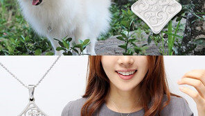 반려동물과의 교감 “커플템이 좋아∼”