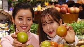 제철 맞은 ‘대저 토마토’ 20% 할인