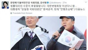 한정애, ‘강일원 비판’ 김평우 변호사 겨냥 “법률대리인 수준이 후덜덜”