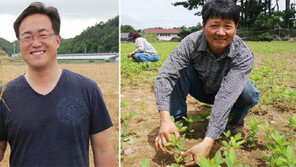 앉은뱅이 밀 - 대박나 양배추… “토종 씨앗 지켜라”