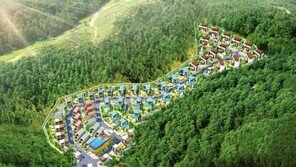 [화제의 분양현장]남이섬 월세 받는 수익형 전원주택