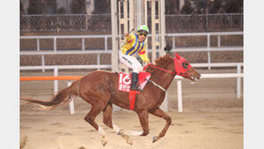 ‘클린업조이’를 넘어라…서울 외산마 총출동