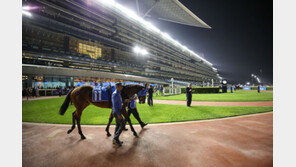 ‘경주마 한류’ 디퍼런트디멘션·서울불릿 귀국