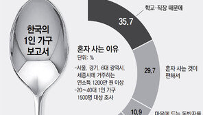 2017 대한민국 1인가구의 ‘싱글라이프’