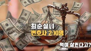[카드뉴스]최순실이 변호사 200명 먹여 살린다?