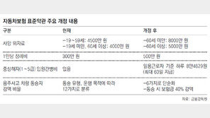 3월부터 교통사고 사망위자료 4500만→ 8000만원