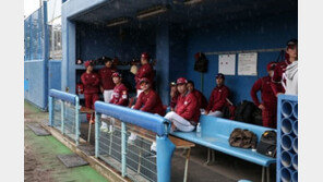 연일 비 내리는 오키나와…구단들만 울상