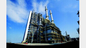 [新에너지 이노베이션]원재료 생산으로 연 1조 원 수입대체 효과 