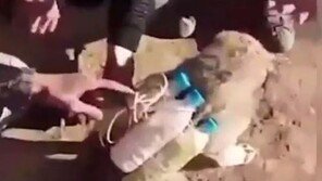 이슬람국가, 폭발물 부착 ‘자살 개’로 테러 시도