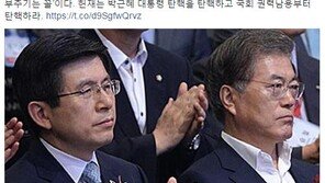 신동욱 “야당의 황교안 탄핵, 대선출마 부추기는 꼴”