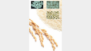 맥주 빚을땐 ‘한가루’… 다이어트엔 ‘눈큰흑찰’ 좋아요