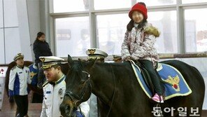“처음 타본 말, 구름 위에 앉은 느낌”